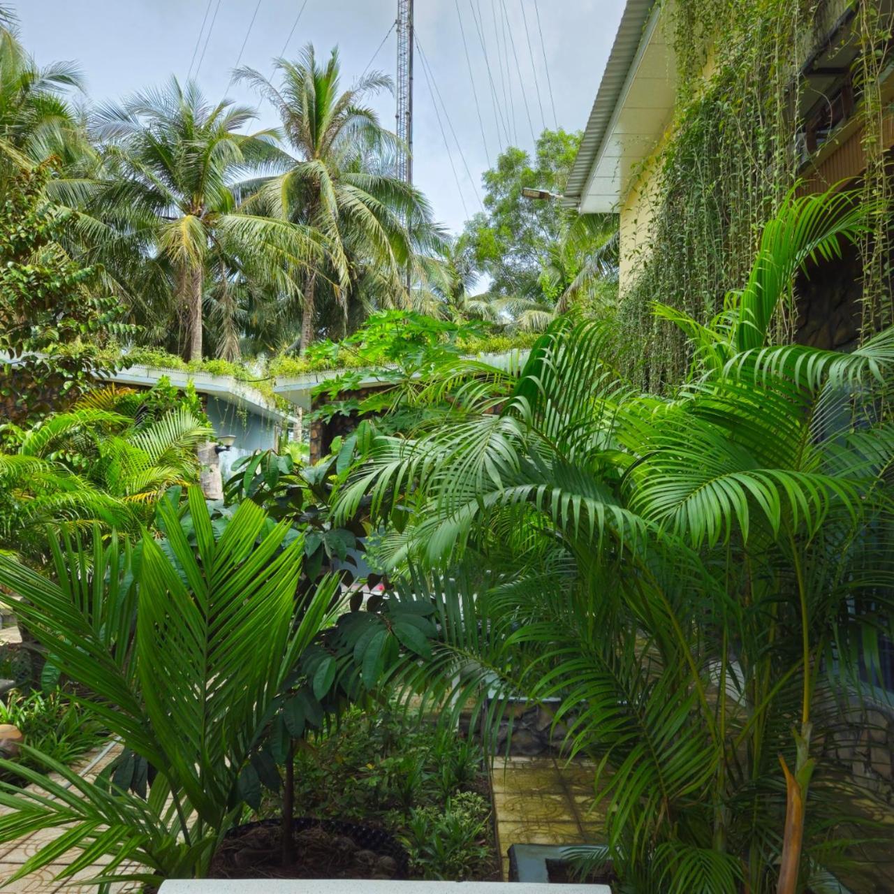 Homestay Bao Binh Ben Tre ภายนอก รูปภาพ