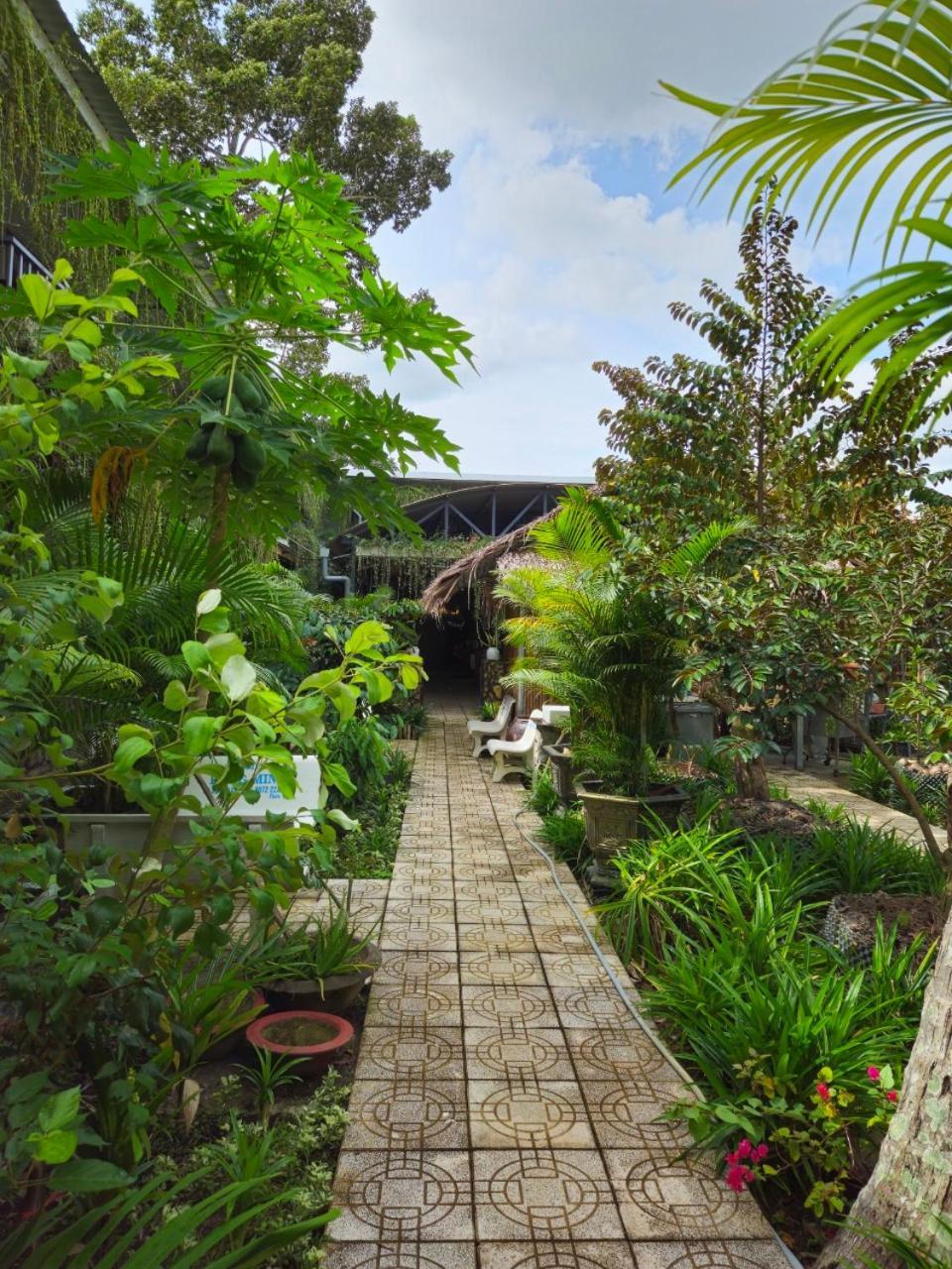 Homestay Bao Binh Ben Tre ภายนอก รูปภาพ