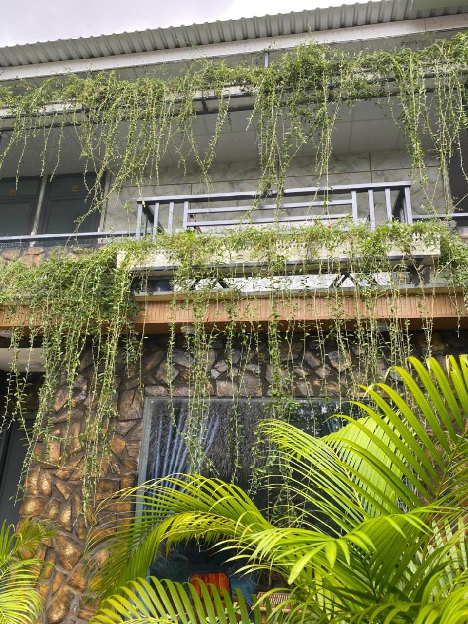 Homestay Bao Binh Ben Tre ภายนอก รูปภาพ